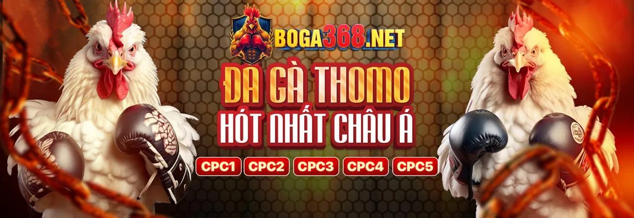 Tin tức và cập nhật mới nhất từ s88bet nhà cái